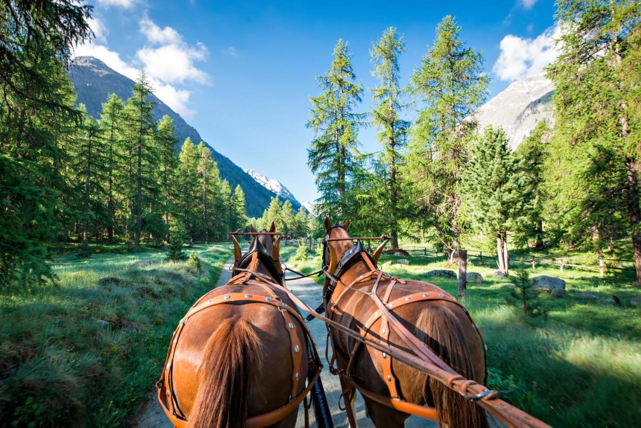 Hotel Roseg-Gletscher Pontresina Eksteriør bilde