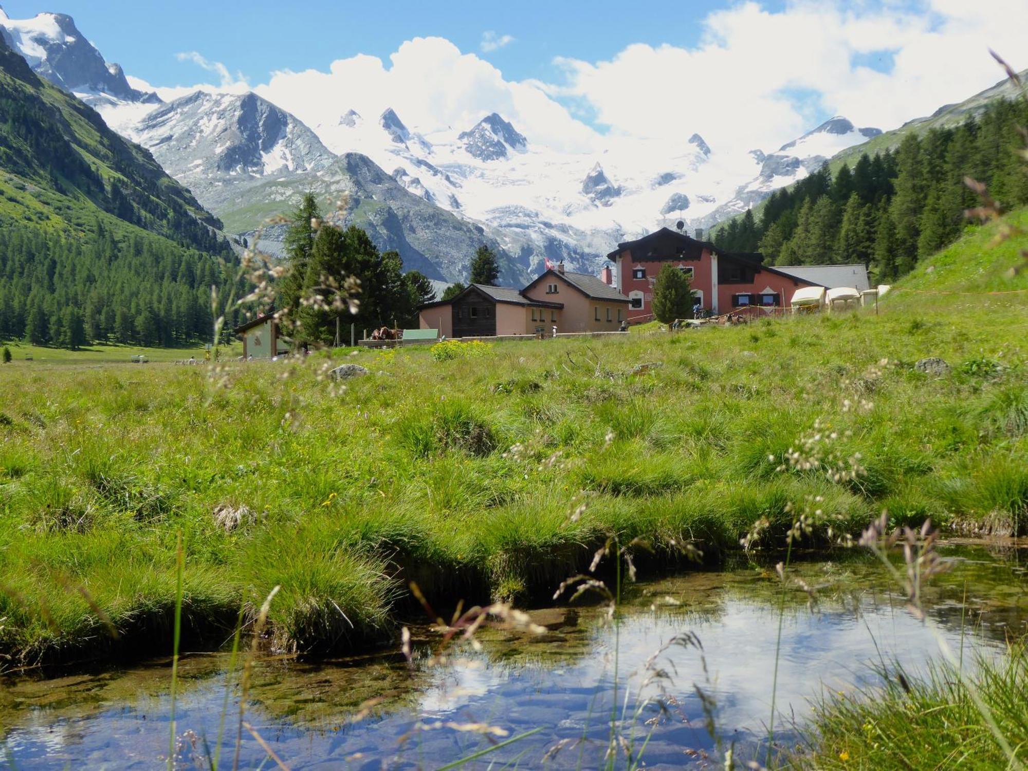 Hotel Roseg-Gletscher Pontresina Eksteriør bilde