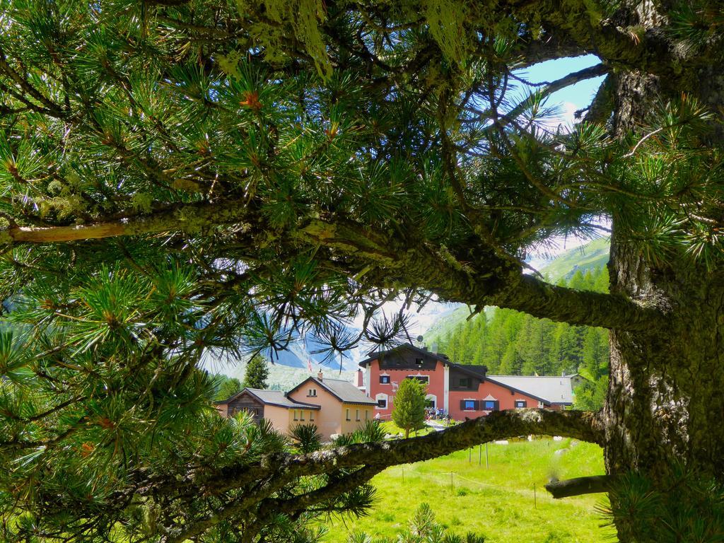 Hotel Roseg-Gletscher Pontresina Eksteriør bilde