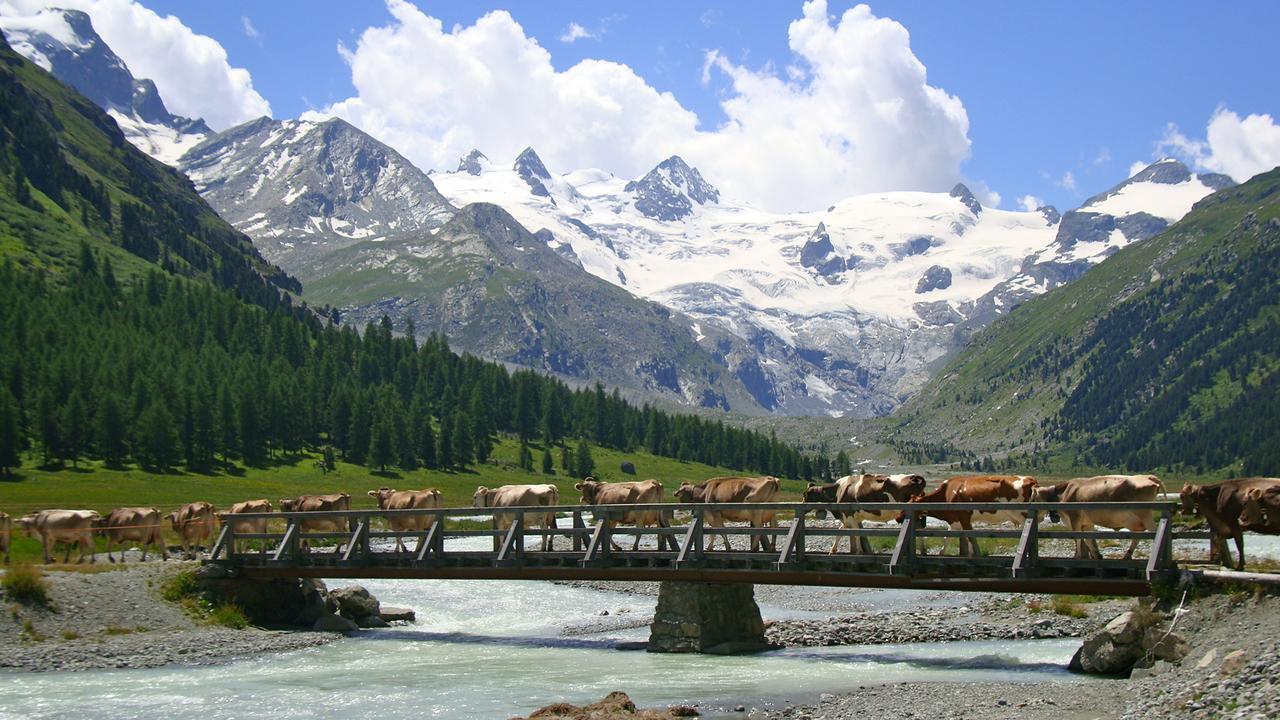 Hotel Roseg-Gletscher Pontresina Eksteriør bilde